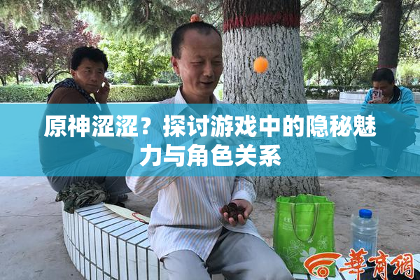 原神涩涩？探讨游戏中的隐秘魅力与角色关系
