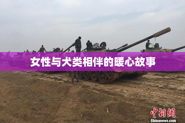 女性与犬类相伴的暖心故事
