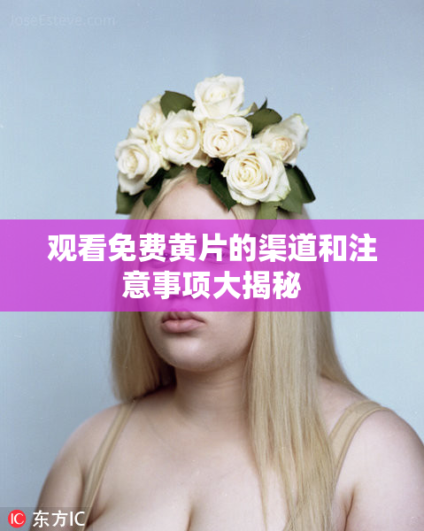 观看免费黄片的渠道和注意事项大揭秘
