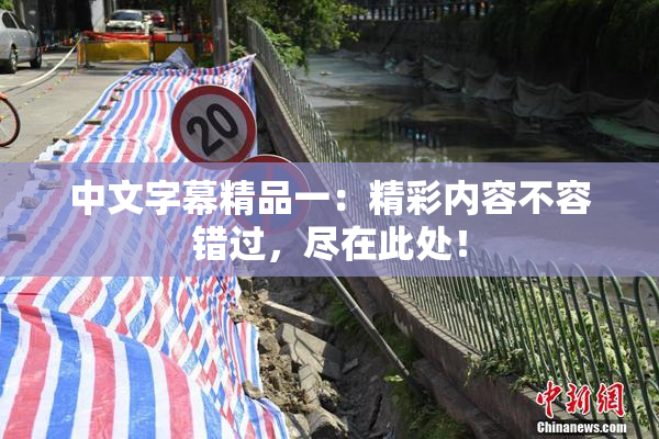 中文字幕精品一：精彩内容不容错过，尽在此处！