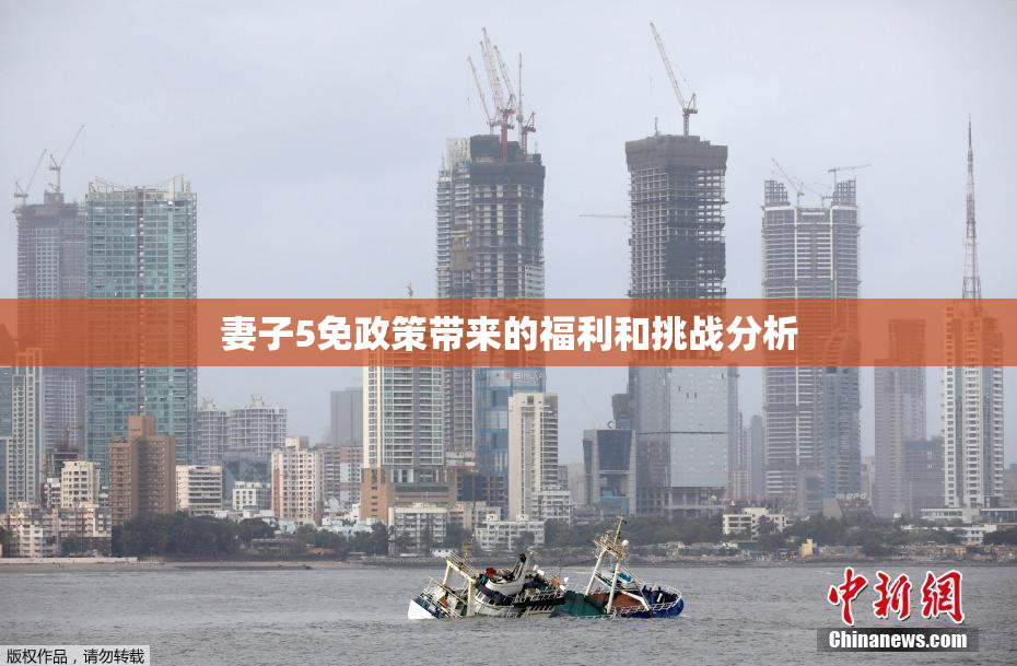 妻子5免政策带来的福利和挑战分析