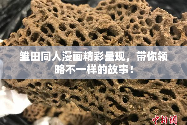 雏田同人漫画精彩呈现，带你领略不一样的故事！