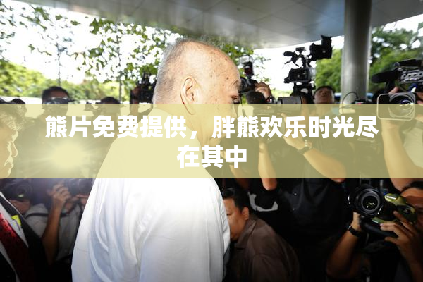 熊片免费提供，胖熊欢乐时光尽在其中