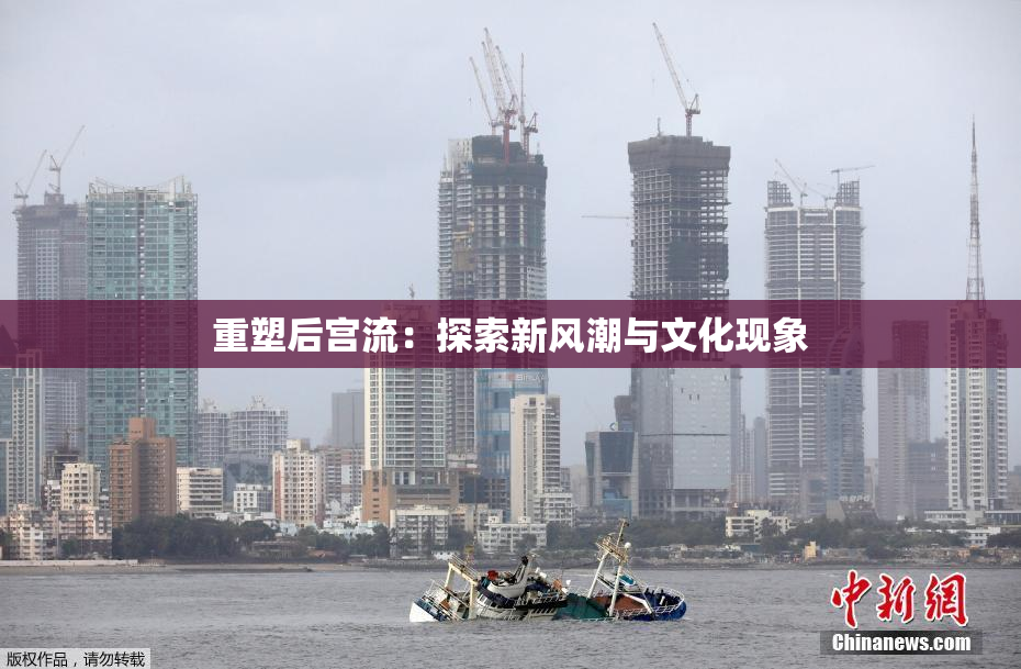 重塑后宫流：探索新风潮与文化现象