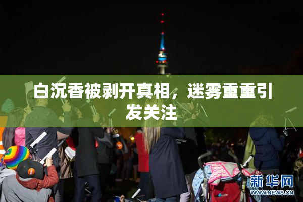 白沉香被剥开真相，迷雾重重引发关注