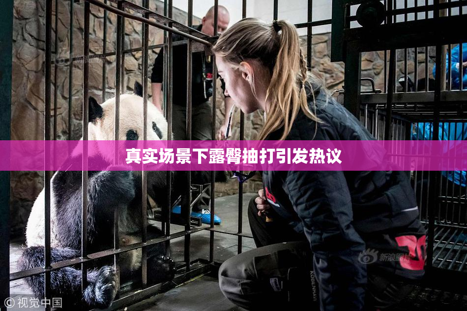 真实场景下露臀抽打引发热议