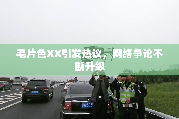 毛片色XX引发热议，网络争论不断升级