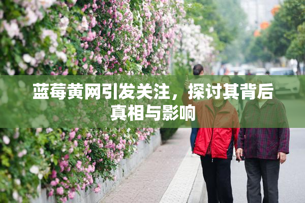 蓝莓黄网引发关注，探讨其背后真相与影响