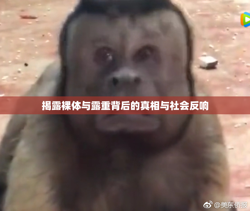 揭露裸体与露重背后的真相与社会反响