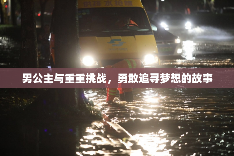 男公主与重重挑战，勇敢追寻梦想的故事