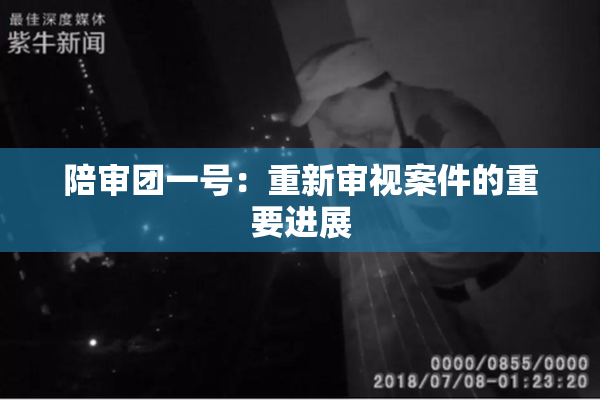 陪审团一号：重新审视案件的重要进展