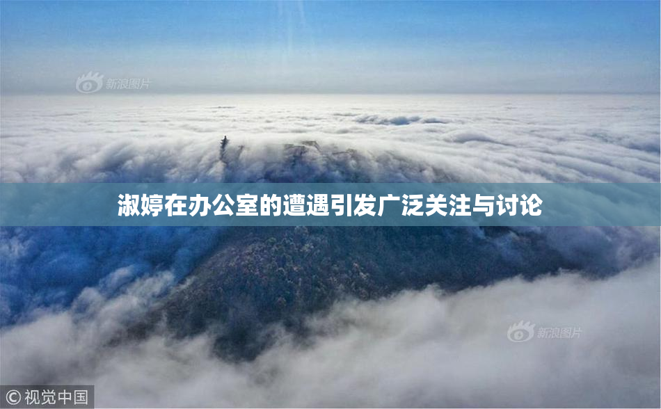 淑婷在办公室的遭遇引发广泛关注与讨论