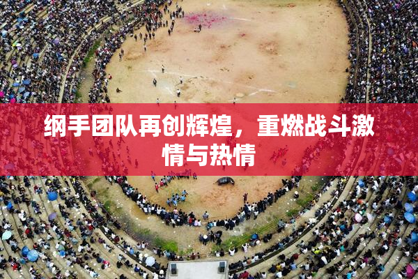 纲手团队再创辉煌，重燃战斗激情与热情