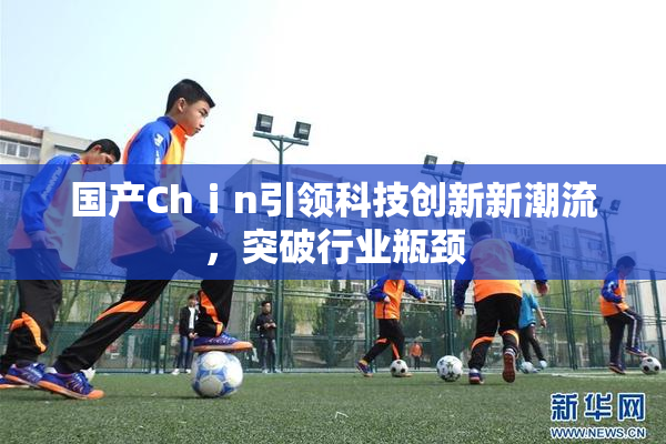 国产Chⅰn引领科技创新新潮流，突破行业瓶颈