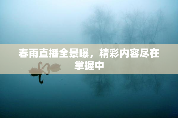 春雨直播全景曝，精彩内容尽在掌握中