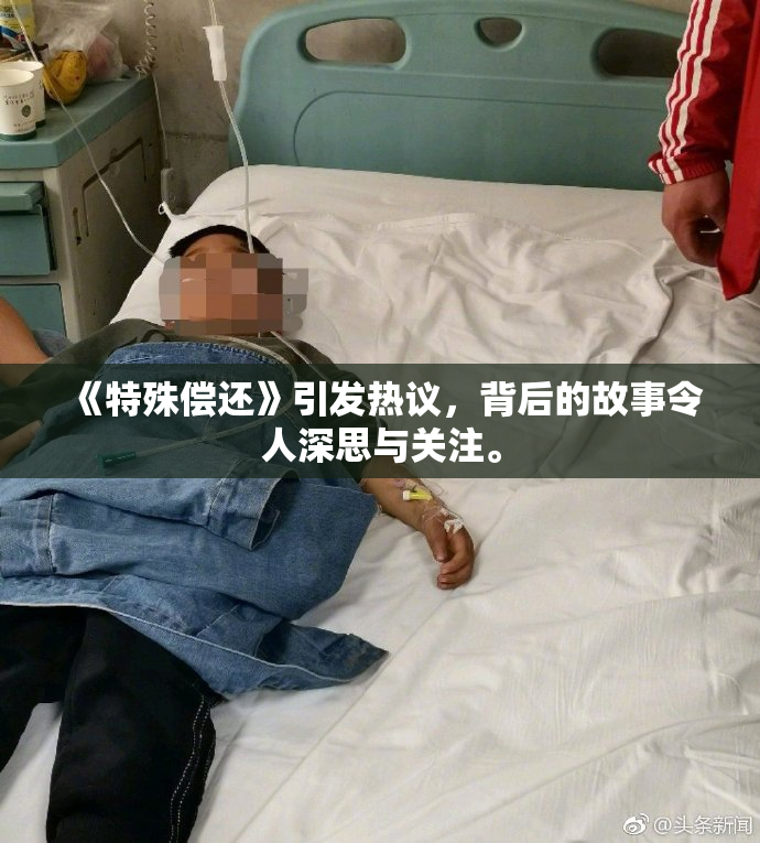 《特殊偿还》引发热议，背后的故事令人深思与关注。