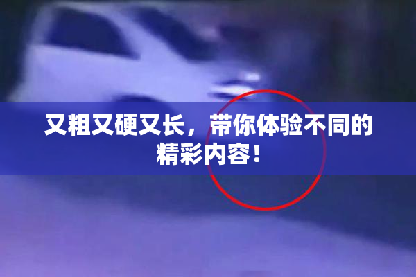 又粗又硬又长，带你体验不同的精彩内容！