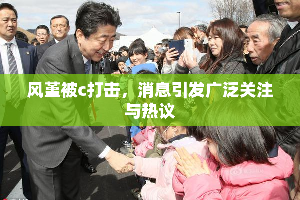风堇被c打击，消息引发广泛关注与热议