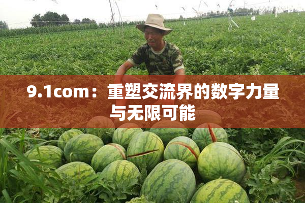 9.1com：重塑交流界的数字力量与无限可能