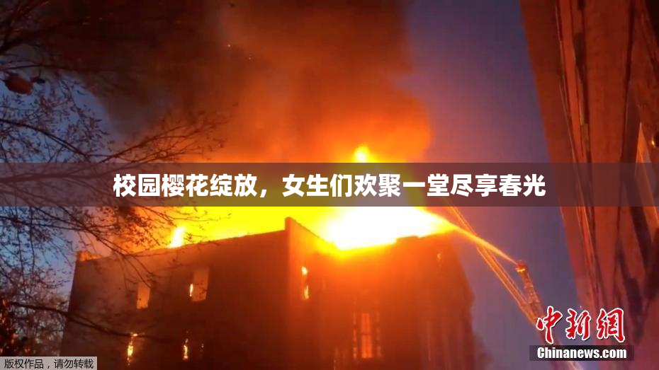 校园樱花绽放，女生们欢聚一堂尽享春光