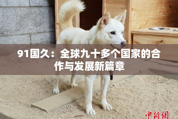 91国久：全球九十多个国家的合作与发展新篇章