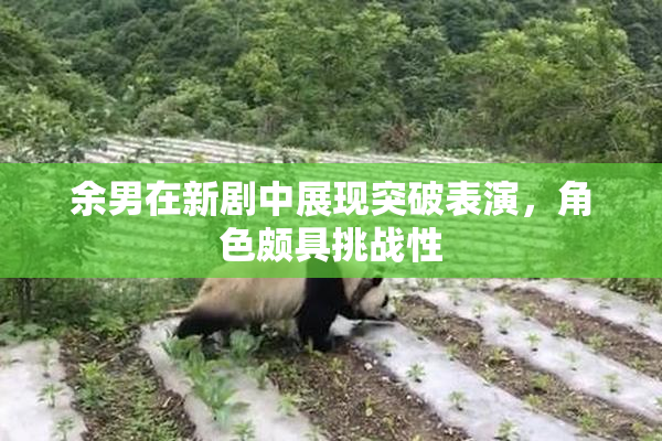 余男在新剧中展现突破表演，角色颇具挑战性