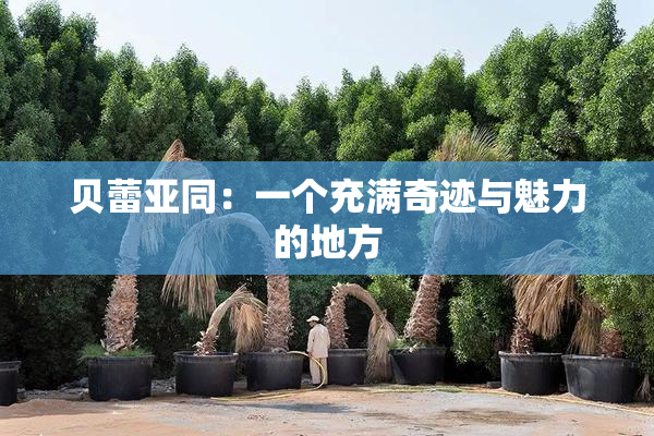 贝蕾亚同：一个充满奇迹与魅力的地方