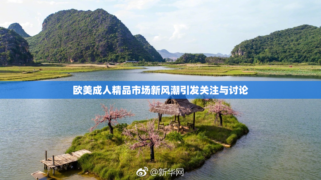 欧美成人精品市场新风潮引发关注与讨论