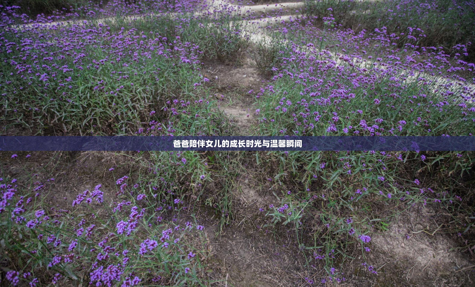 爸爸陪伴女儿的成长时光与温馨瞬间