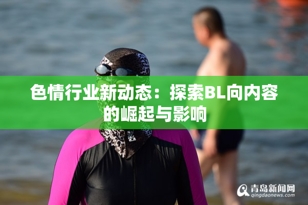 色情行业新动态：探索BL向内容的崛起与影响