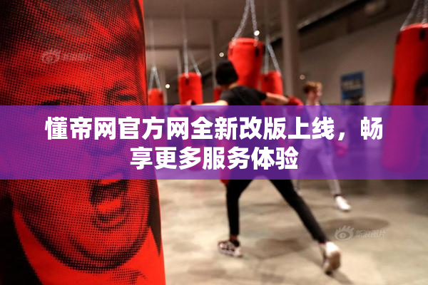 懂帝网官方网全新改版上线，畅享更多服务体验