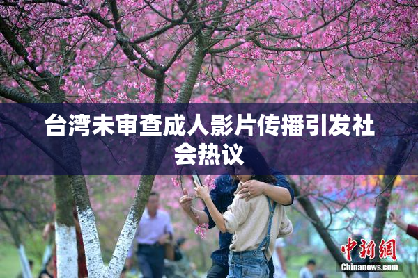 台湾未审查成人影片传播引发社会热议