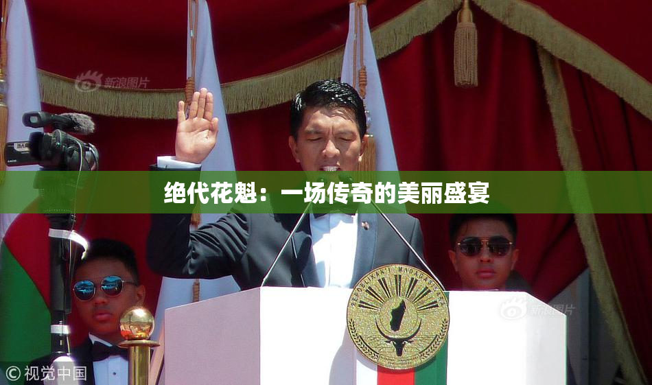 绝代花魁：一场传奇的美丽盛宴