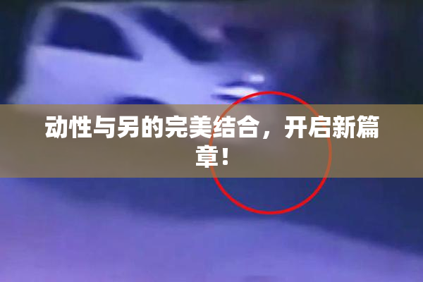 动性与另的完美结合，开启新篇章！