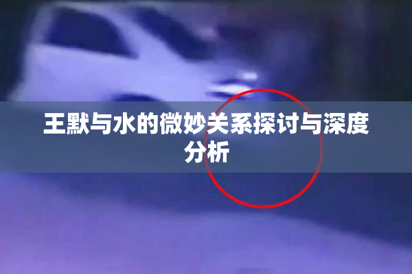 王默与水的微妙关系探讨与深度分析