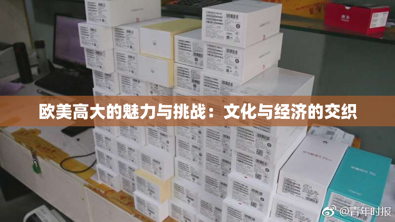 欧美高大的魅力与挑战：文化与经济的交织