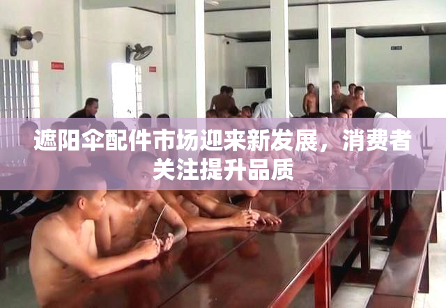 遮阳伞配件市场迎来新发展，消费者关注提升品质