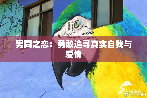 男同之恋：勇敢追寻真实自我与爱情