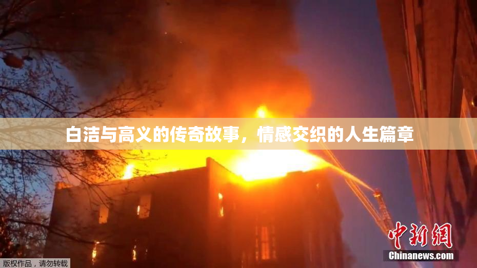 白洁与高义的传奇故事，情感交织的人生篇章