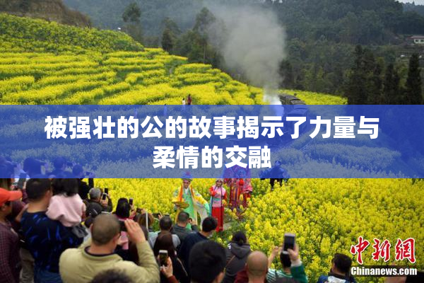 被强壮的公的故事揭示了力量与柔情的交融
