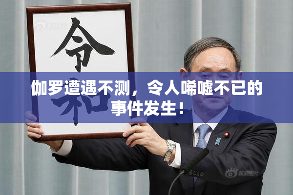 伽罗遭遇不测，令人唏嘘不已的事件发生！