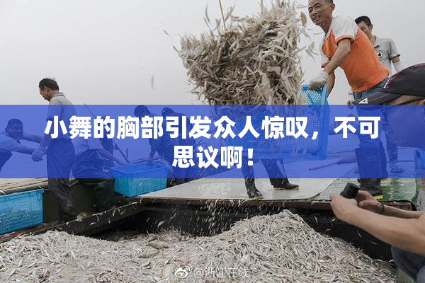 小舞的胸部引发众人惊叹，不可思议啊！