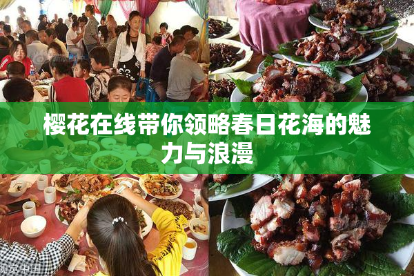 樱花在线带你领略春日花海的魅力与浪漫