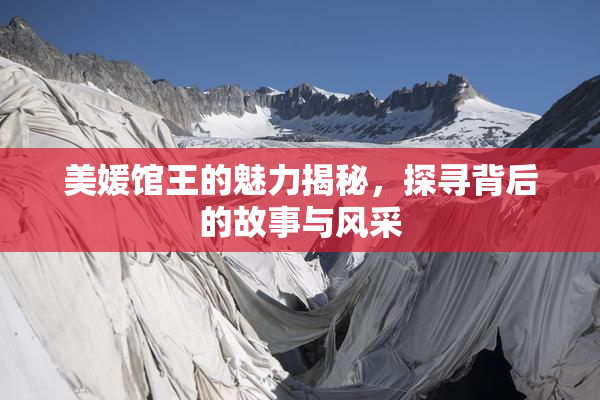 美媛馆王的魅力揭秘，探寻背后的故事与风采