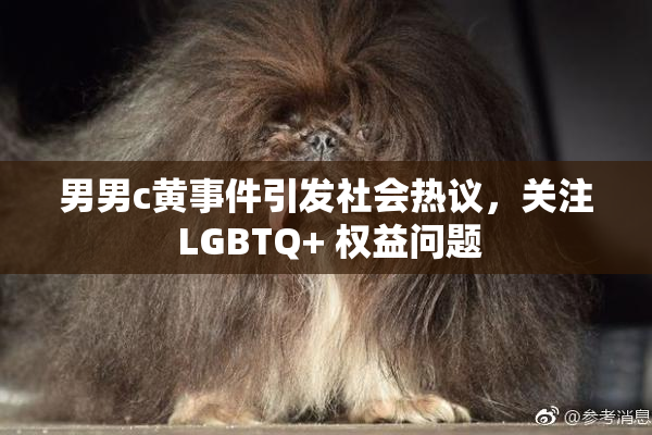 男男c黄事件引发社会热议，关注 LGBTQ+ 权益问题