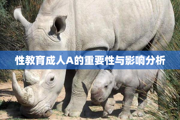 性教育成人A的重要性与影响分析