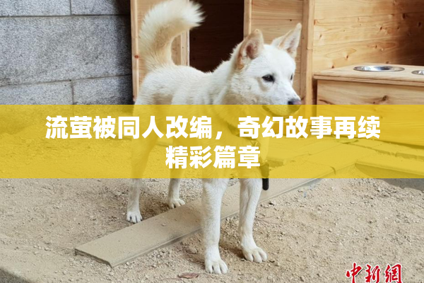流萤被同人改编，奇幻故事再续精彩篇章