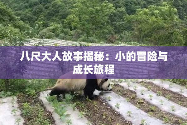 八尺大人故事揭秘：小的冒险与成长旅程