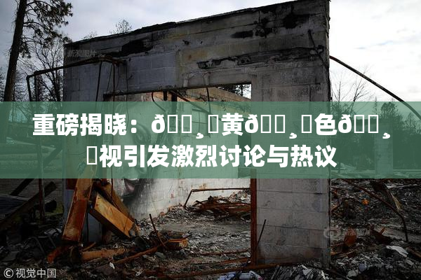 重磅揭晓：🌸‌黄🌸‌色🌸‌视引发激烈讨论与热议