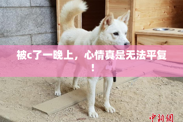被c了一晚上，心情真是无法平复！